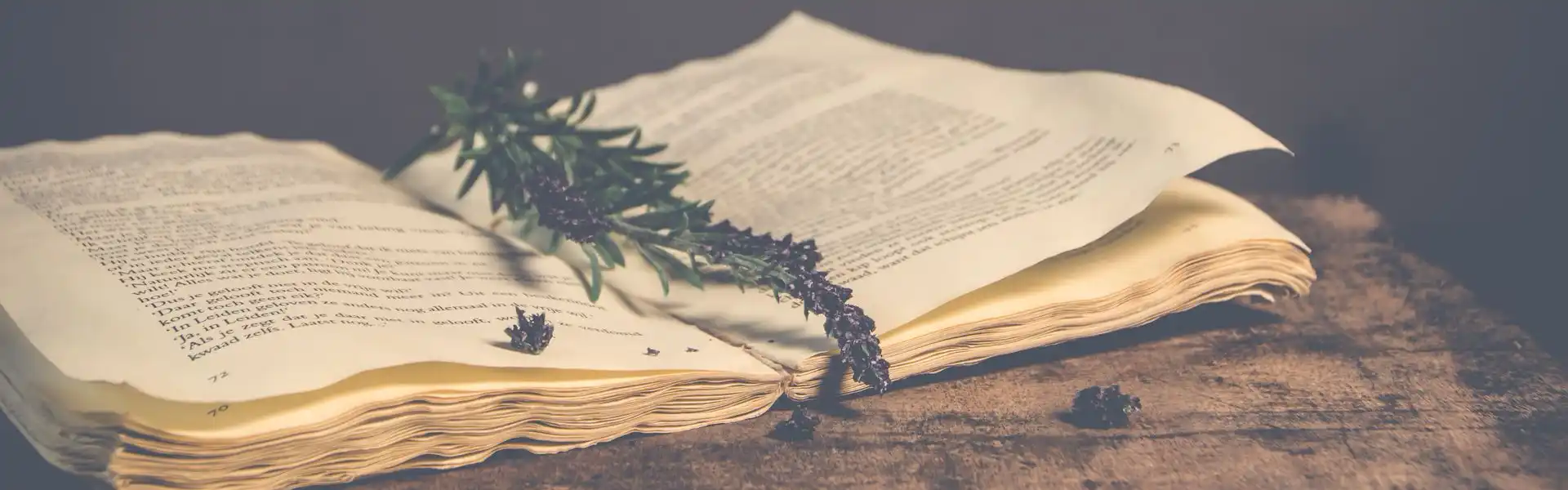 Open book with sprigs of flowers as a bookmark. Illustration for a page of free downloadable bookmarks.